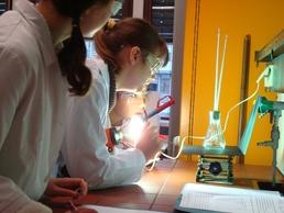 Copyright FUB / Departement of Chemistry Education